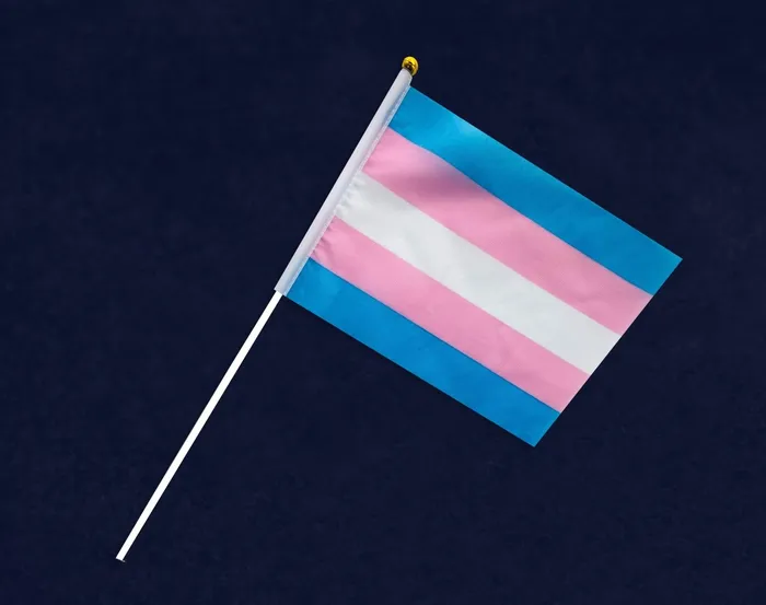Trans Pride Flag Fundraising For Cause Vibrators