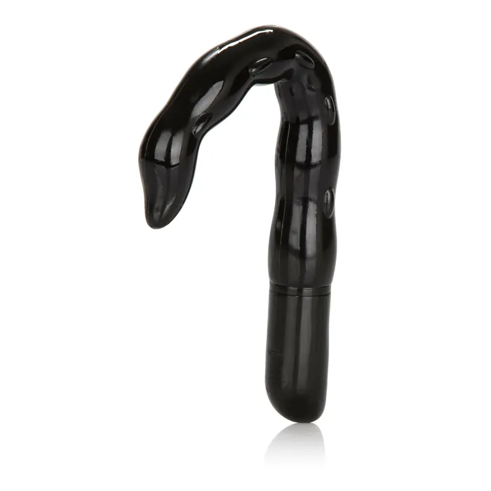 Versatile Prostate Stimulator CalExotics Male Sex Toys