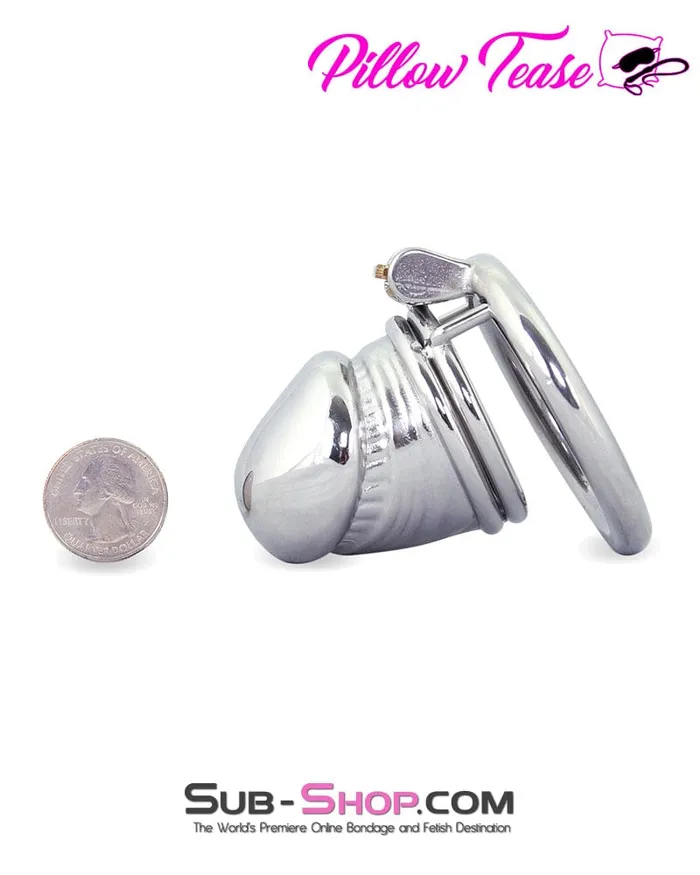 0642M Penis Head High Security Steel Cock Cage Chastity Moonwell Male Sex Toys