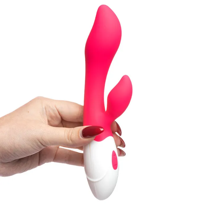 Cleopassera MySecretCase Vibrators
